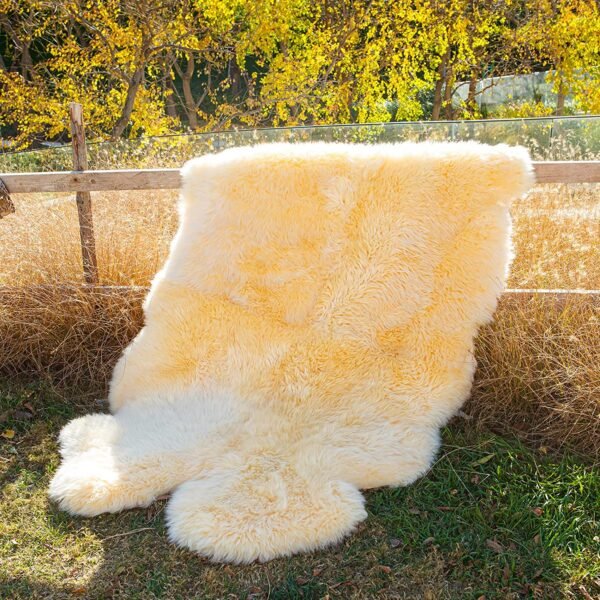 Quad Sheepskin Rug Large Sheep Skin 4 Pelt – Soft Champagne Fur - Image 4